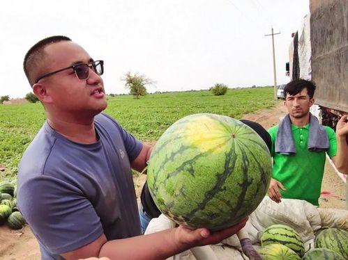 吃瓜客融资,揭秘网络红人背后的商业帝国