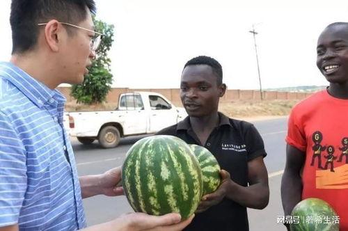 人人吃瓜,揭秘娱乐圈幕后真相
